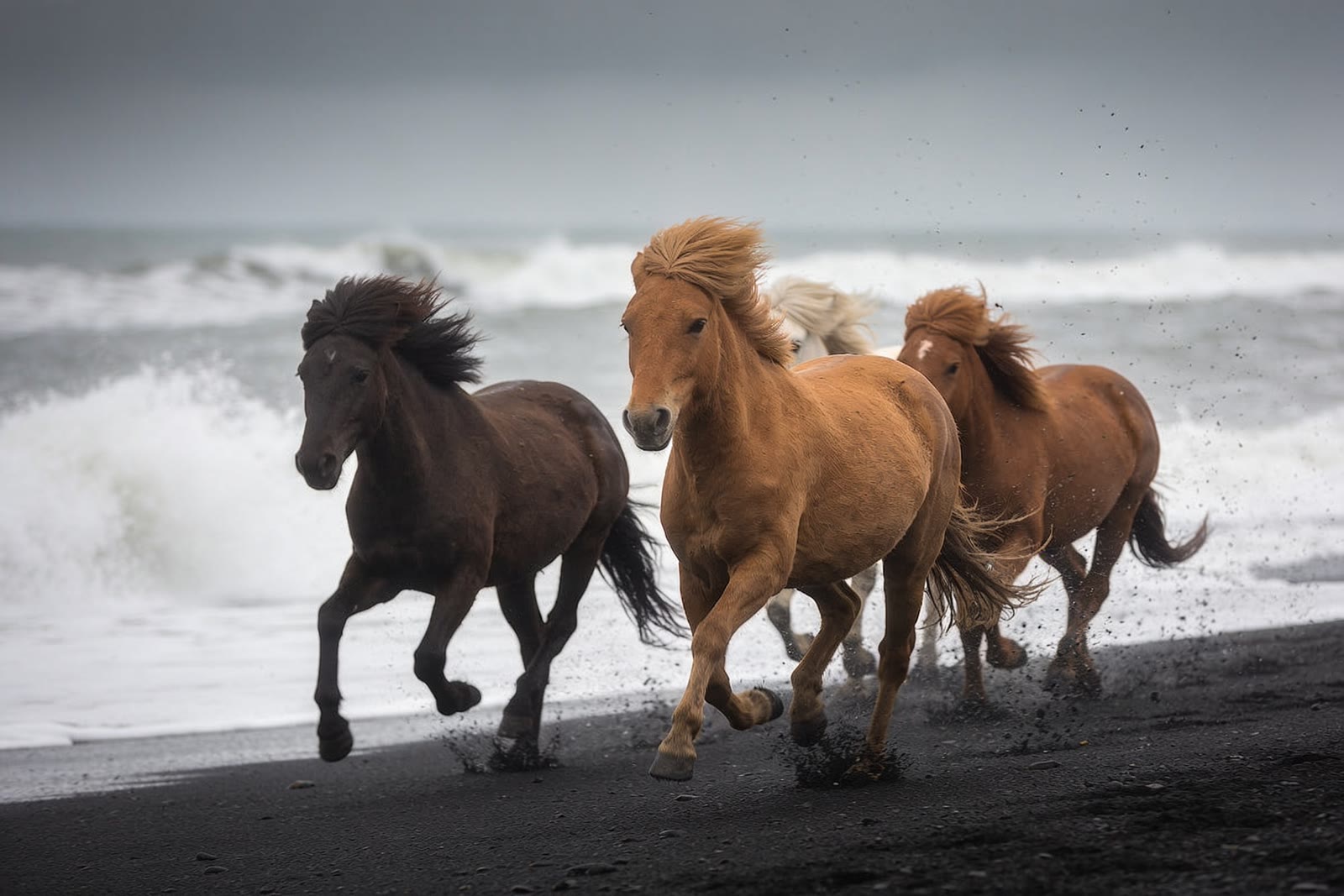 Black Sand, Volcanic coast